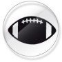 Pro-Tuff Helmet Award Stickers