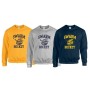 Manchester Swarm - Hockey Logo Sweatshirt