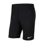 Technical - Nike Embroidered Pocketed Shorts