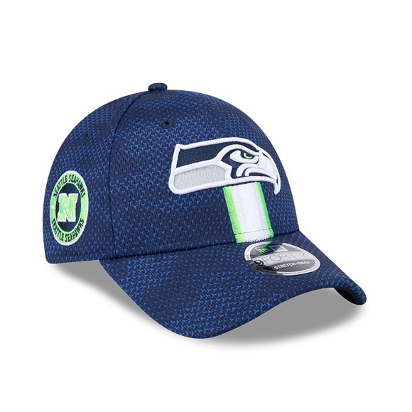 Gorra Seattle Seahawks New Era Stretch Snap 9Forty 2024