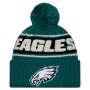 Philadelphia Eagles New Era 2024 Sideline Sport Knit Front