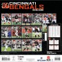 Cincinnati Bengals 2025 12"x12" Wall Calendar Back