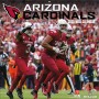 Arizona Cardinals 2025 12"x12" Wall Calendar Front