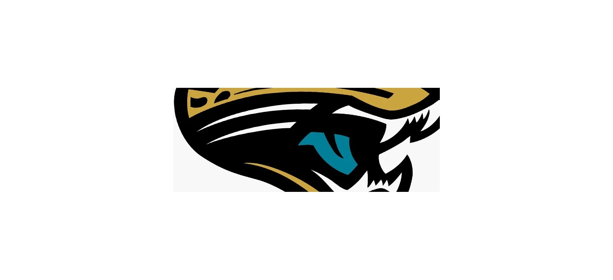 Ausverkauf Jacksonville Jaguars